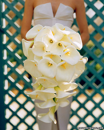 This bouquet from Martha Stewart Weddings caught my eye White Calla Lily 